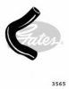 GATES 3565 Radiator Hose